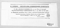 Asteridiella funebris image